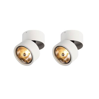 Lot de 2 spots ronds blancs orientables - Go Nine