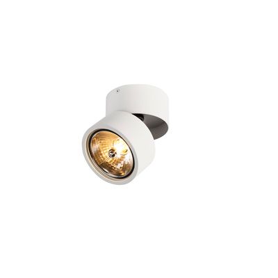 Lot de 2 spots ronds blancs orientables - Go Nine