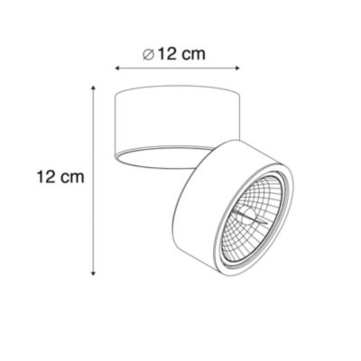 Lot de 2 spots ronds blancs orientables - Go Nine