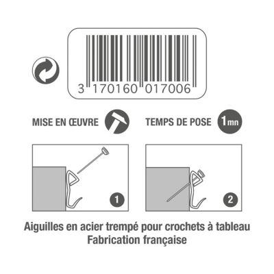 Lot de 20 aiguilles de rechange. Le Crochet Francais