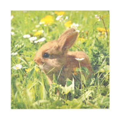 Lot de 20 serviettes en papier Lapin