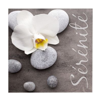 Lot de 20 serviettes papier serenite