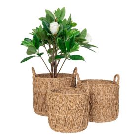 Lot de 3 Paniers en Jonc de Mer Naturels pour Décoration et Rangement