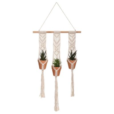 Lot de 3 plantes suspendues "Hacienda" - H75 cm - Atmosphera