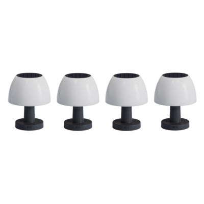 Lot de 4 lampe de table solaire LUMINA Blanc Plastique H13.5 cm