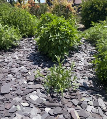 Lot de 4 sacs de 20 L de pouzzolane noire 7/15