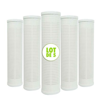 Lot de 5 Cartouches Lavables Nylon Filtre à Eau Sédiments 9 pouces 3/4 - 60 microns Fabriquées en France