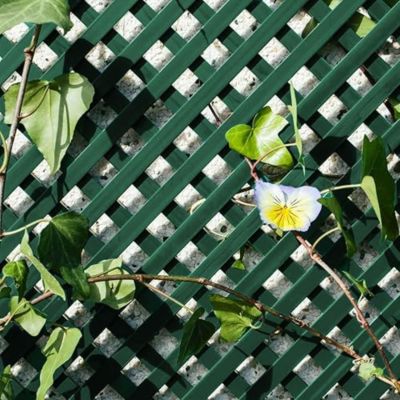 Lot de 5 treillis fixes en PVC vert 220 x 84 cm - mailles de 20 x 20 mm