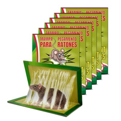 Lot de 6 Piège à souris collant anti rongeur, Attrape Souris Piège à colle Ultra Puissant plaque de glue