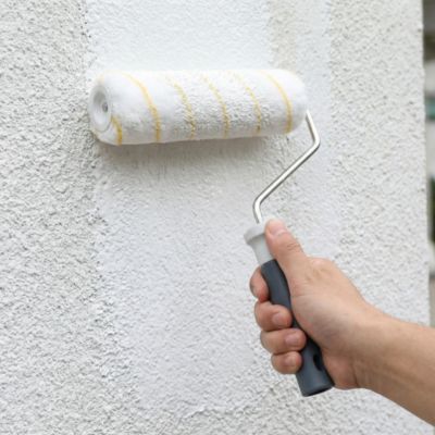Lot rouleau surface lisse + 3 manchons GoodHome 230mm