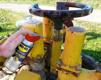 Lubrifiant au Silicone WD-40 Specialist 250ml