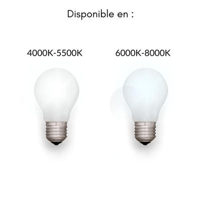 Luminaire LED Urbain 100W IP65 220V 180degrés - Blanc Froid 6000K - 8000K - SILAMP