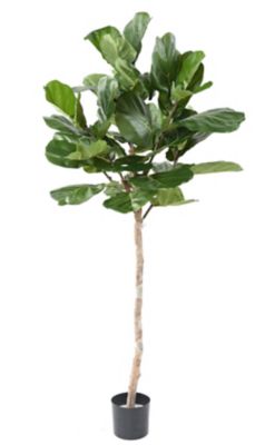 Lyrata tête sur tige artificiel plante déco
