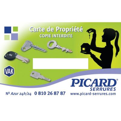Mécanisme 3 points en applique TRIDENT à tirage droite or - PICARD - 8000S0006