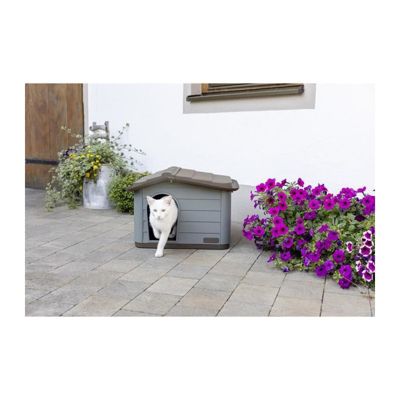 Maison pour chat Paola Eco 60 x 51 x 41 cm