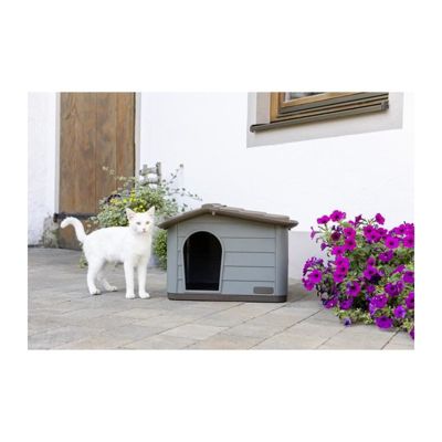 Maison pour chat Paola Eco 60 x 51 x 41 cm