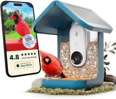 Mangeoire à oiseaux solaire avec caméra identification IA et vidéo 2K bleu