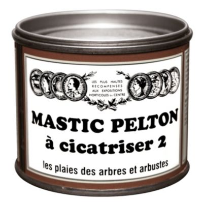 Mastic à cicatriser pour arbres et arbustes Pelton 195 g