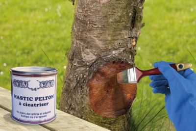 Mastic à cicatriser pour arbres et arbustes Pelton 195 g