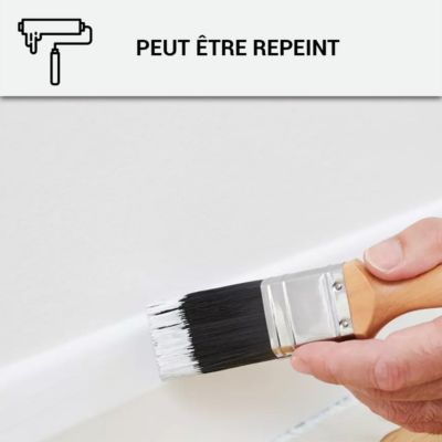 Mastic Colle MS Polymère, étanchéité des sols et murs : ARCAMASTIC POLYMÈRE Transparent - 290 ml x 1 - ARCANE INDUSTRIES