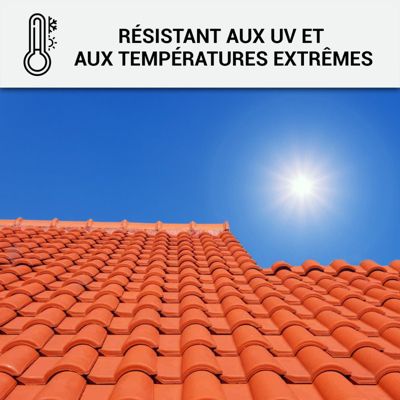 Mastic Colle Tuiles Polyuréthane Hybride: ARCAMASTIC JOINT ET COLLE Blanc - 290 ml x 1 - ARCANE INDUSTRIES