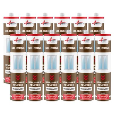 Mastic Silicone intérieur extérieur pour fenêtres ARCAMASTIC BATIMENT Transparent - 300 ml x 12 - ARCANE INDUSTRIES