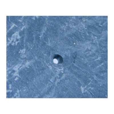 MAT 2 - Pince à découper et poinçonner l'ardoise, lame 55 mm - EDMA