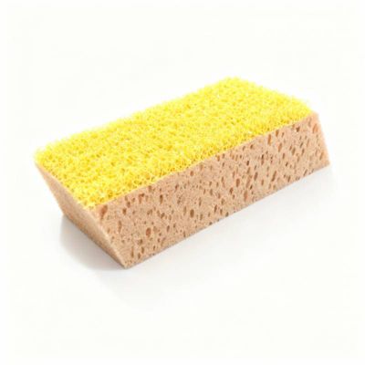 MAT INTER - Eponge biseauté 100x170x55mm 2 faces grattante / absorbante