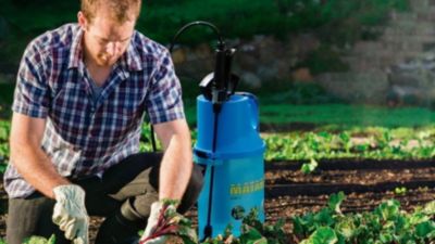 MATABI Pulvérisateur à pression préalable BERRY 5