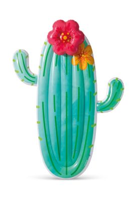 Matelas gonflable cactus Intex L.185 x l.140 cm