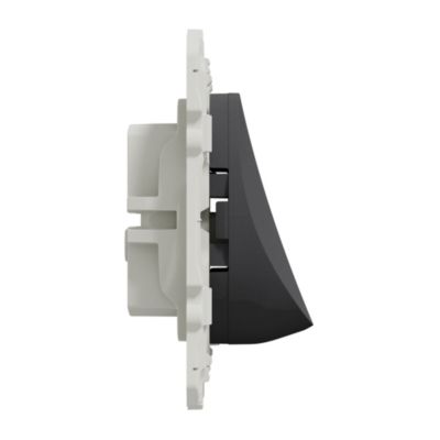 Sortie De Câble Schneider ALB83596 Anthracite - ALVAIS ALOMBARD - Pour Installation électrique Propre - Neuf