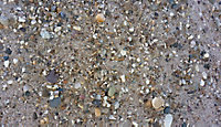 Mélange sable et gravier +/-1m3 V5 en vrac