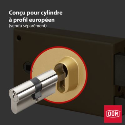 METALUX 9762 LAP Droite - Serrure en applique couleur OR Horizontale avec Gâche 140x43x88 Axe 52.5 Entraxe 58