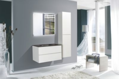 Meuble de salle de bain avec lavabo Naturel Savona 78x43x44,8 cm blanc brillant (SAVONA80BIU1)