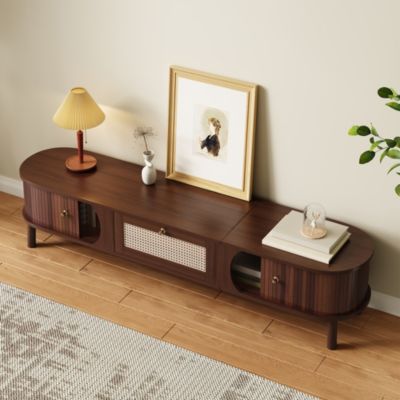 Meuble TV de Rotin avec Portes Pleines et Tiroirs - design Rustique Moderne, Bois et Panneau de Particules, Naturel, 170x40x38 cm