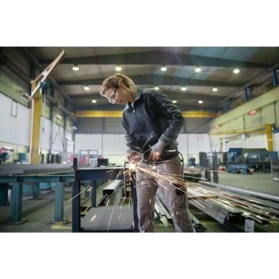 meuleuse bosch GWS 17-125 2.0 V 1700 W sans batterie avec fil