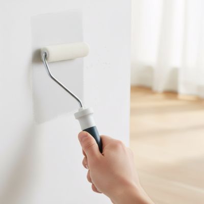 Mini rouleau laqueur mohair vernis et peinture GoodHome 100mm