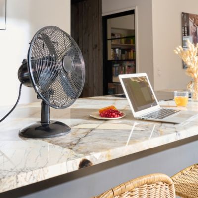 Mini ventilateur de table 30 cm noir FTE30-23A