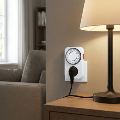 Minuterie mécanique à programmation quotidienne intérieure LAP