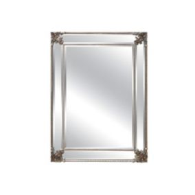 Miroir biseauté en bois d'eucalyptus avec moulures - L. 83 x H. 114 cm - Champagne - ANALISE