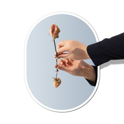 Acezanble 45x75cm Miroir De Salle De Bain LED, Ovale, Antibuée, Réglable En Continu, Fonction Mémoire, Lumière Blanche Froide 6000K