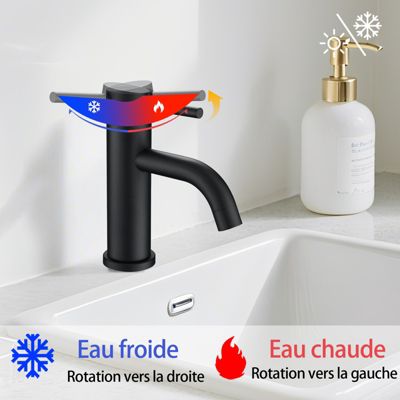 Mitigeur acier inoxydable 304, pour cuisine/salle de bain/lavabo/toilettes invités, avec tuyau, eau chaude/froide, noir