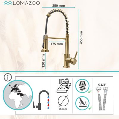Mitigeur Cuisine avec Douchette Doré LOMAZOO Luxor
