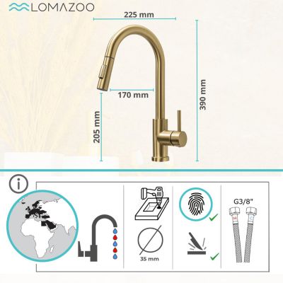 Mitigeur Cuisine avec Douchette Doré LOMAZOO Sphinx