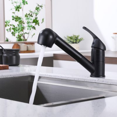 Mitigeur Cuisine avec Douchette Extractible Noir Robinet Cuisine 2 Jets Mitigeur d'évier Rotatif à 120 degrés en Acier Inox