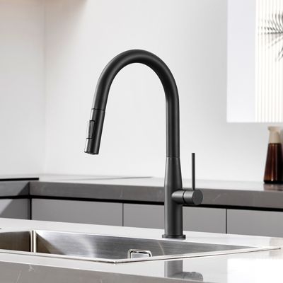 Mitigeur Cuisine avec Douchette Noir, CECIPA MAX Robinet Cuisine Extractible avec 2 Modes de Pulvérisation Brossé
