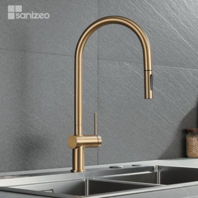 Mitigeur de Cuisine avec Douchette BERNA Or Brossé - GCE026/OC IMEX PRODUCTS