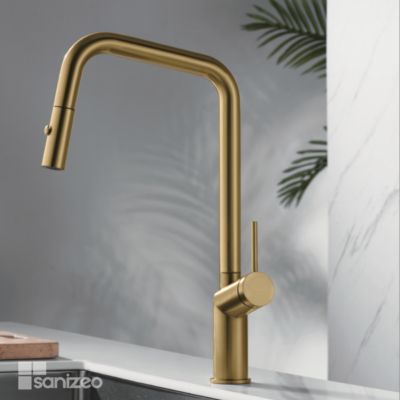 Mitigeur de Cuisine avec Douchette BONN Or Brossé - GCE024/OC IMEX PRODUCTS