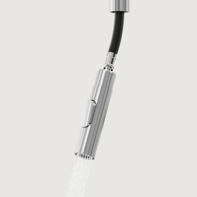 Mitigeur de cuisine avec douchette effet inox brossé GoodHome Zanthe