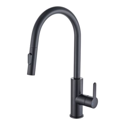 Mitigeur de cuisine avec douchette noir GoodHome Zanthe